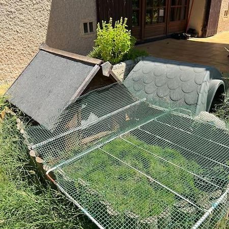 Maison Familiale Idealement Situee Avec Tout Le Confort Nimes Ngoại thất bức ảnh